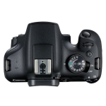 Canon EOS 2000D - Fotocamera digitale - SLR - 24.1 MP - APS-C - 1080p / 30 fps solo corpo - Wi-Fi, NFC